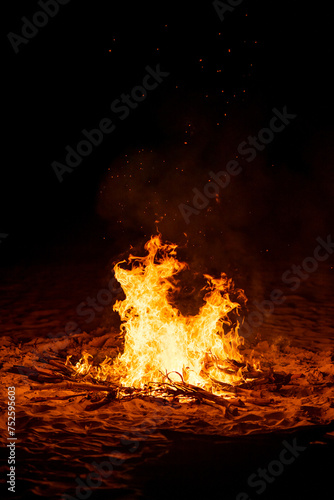 fire in campfire