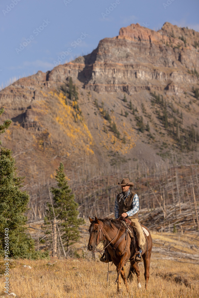 Colorado Cowboy in the Mountains Colorado Cowboy in the Mountains