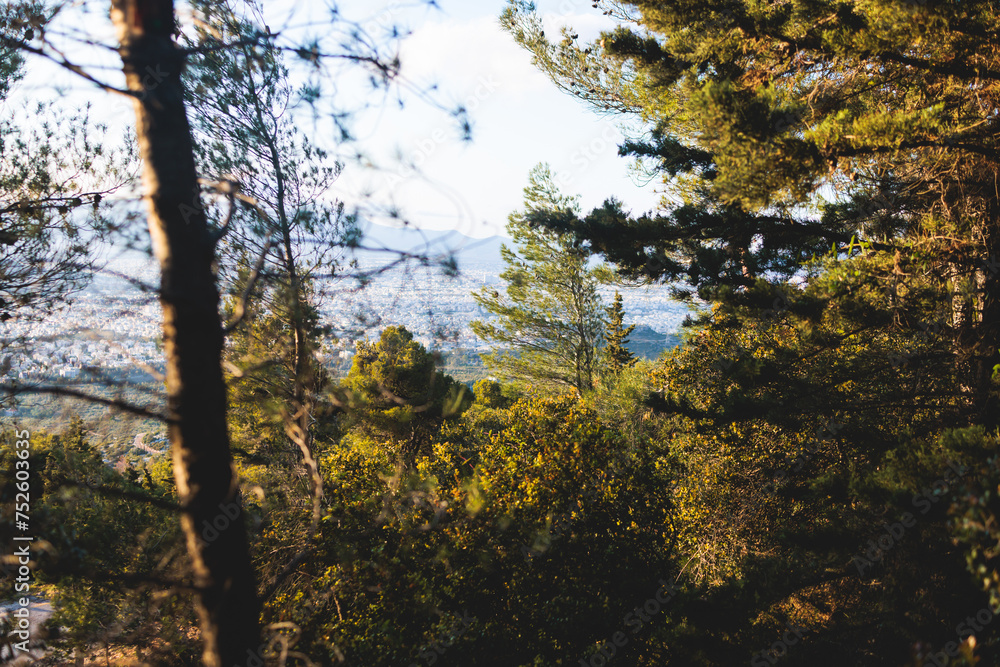Fototapeta premium Hymettus mountain landscape, hiking in Athens, Hymettos mountain range panoramic beautiful view, Attica, Greece, in a summer sunny day, with Kaisariani aesthetic forest