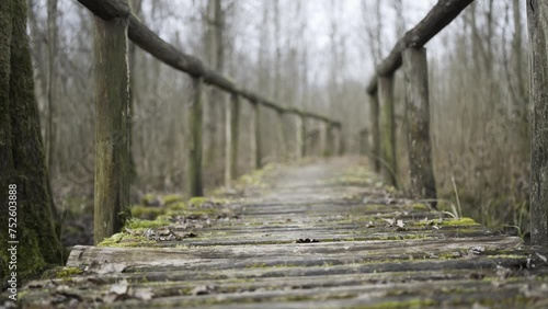 Old wooden walkway in the woods