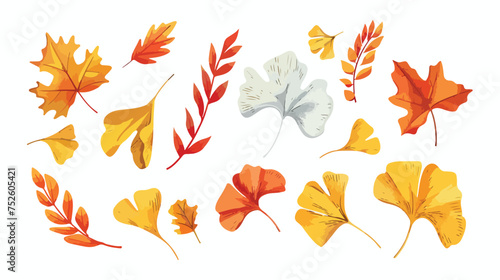 Fallen leaves of maple and ginkgo in the autumn 