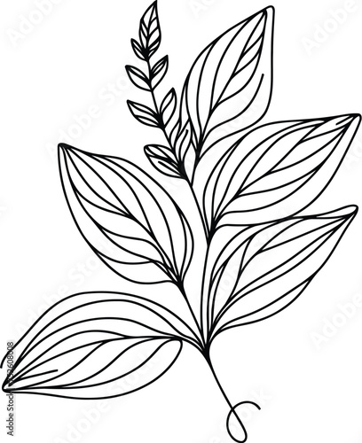 leaf in continuous line drawing minimalist style. 