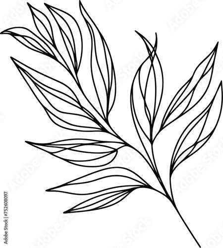 leaf in continuous line drawing minimalist style.  © Cici