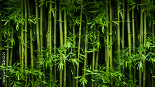 Dense Bamboo Forest With Lush Green Leaves. Tropical Serenity Background Concept