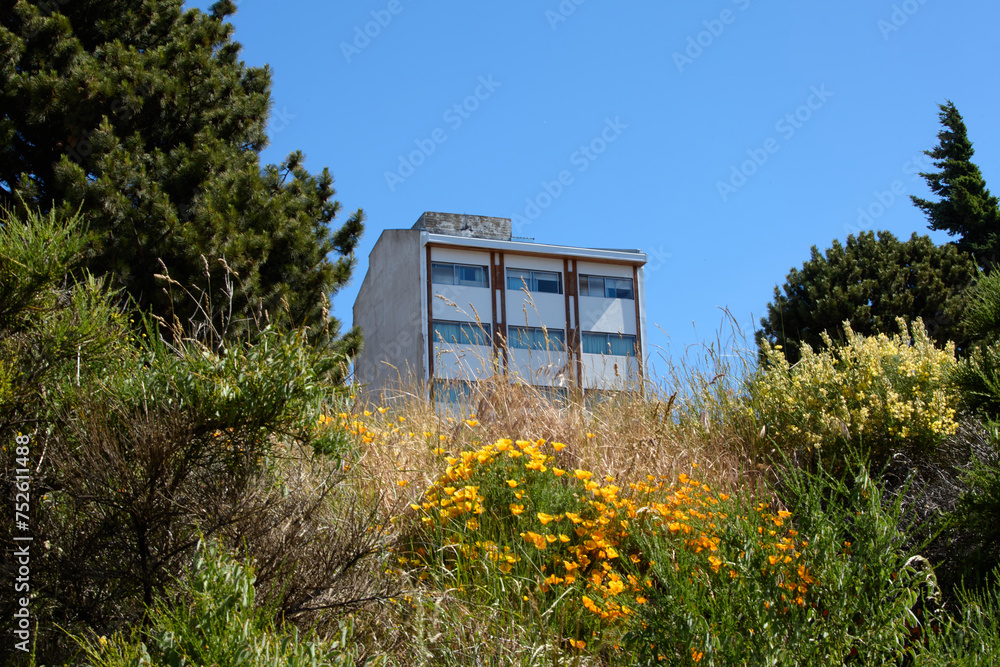 house surrounded by trees and flowers, San Carlos de Bariloche, Argentina, South America house surrounded by trees and flowers, San Carlos de Bariloche, Argentina, South America