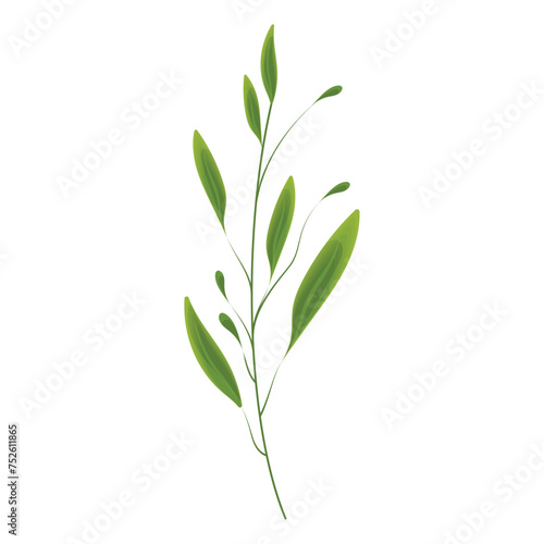 Sketch of a tree leaf icon Vector illustration