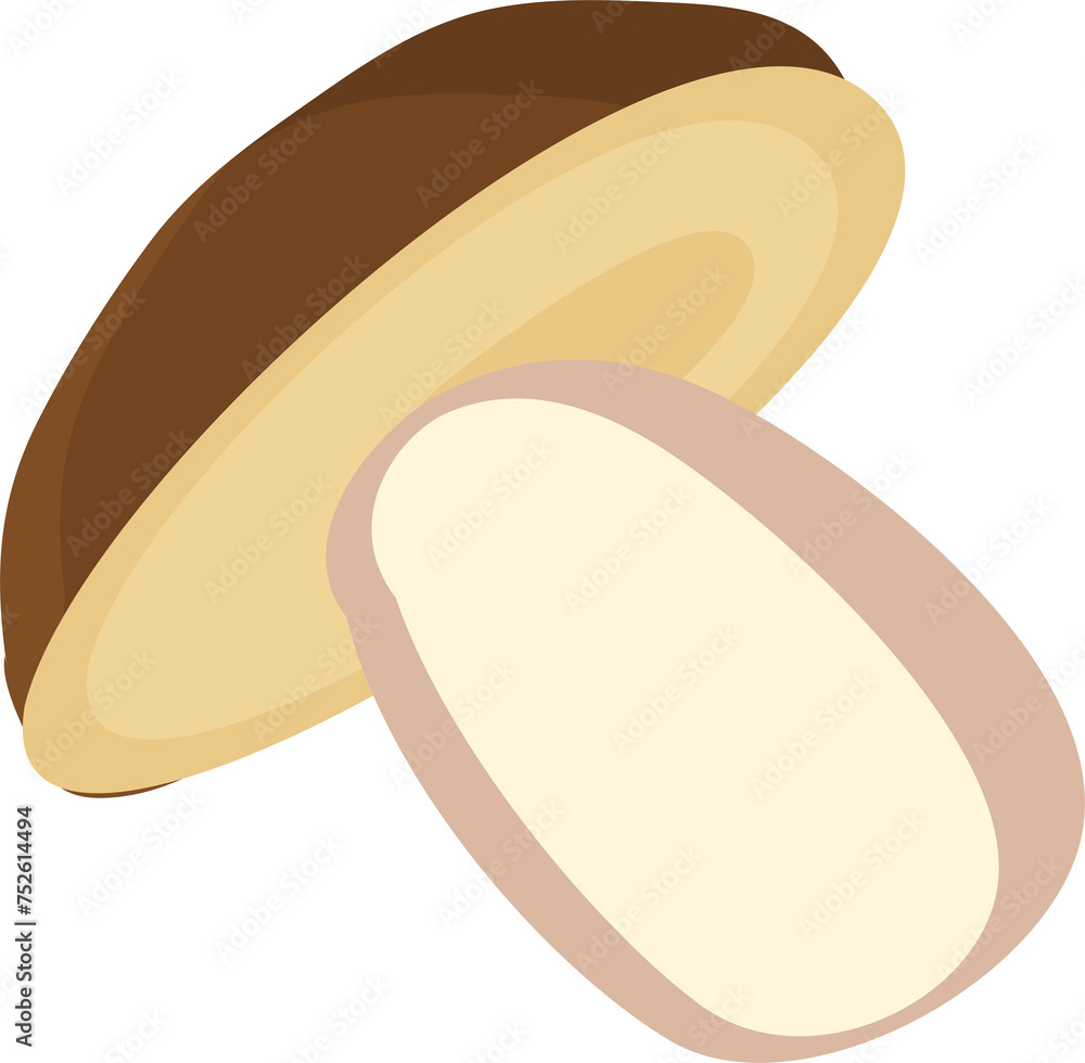 Cartoon edible forest mushrooms. Autumn seasonal mushrooms flat  illustration. Woodland plants . on transparent, png