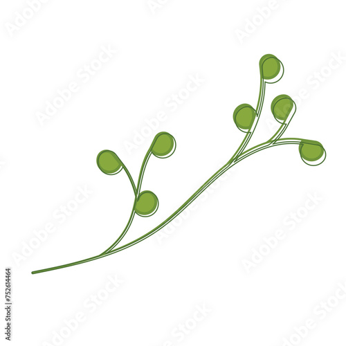 Sketch of a tree leaf icon Vector illustration © lar01joka