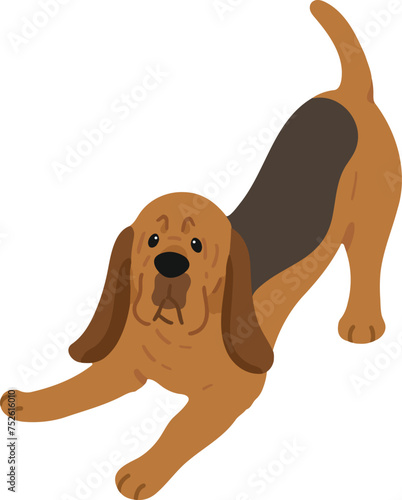 Simple and cute playful Bloodhound illustration flat colored