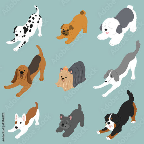 Simple and cute playful dogs illustrations set flat colored
