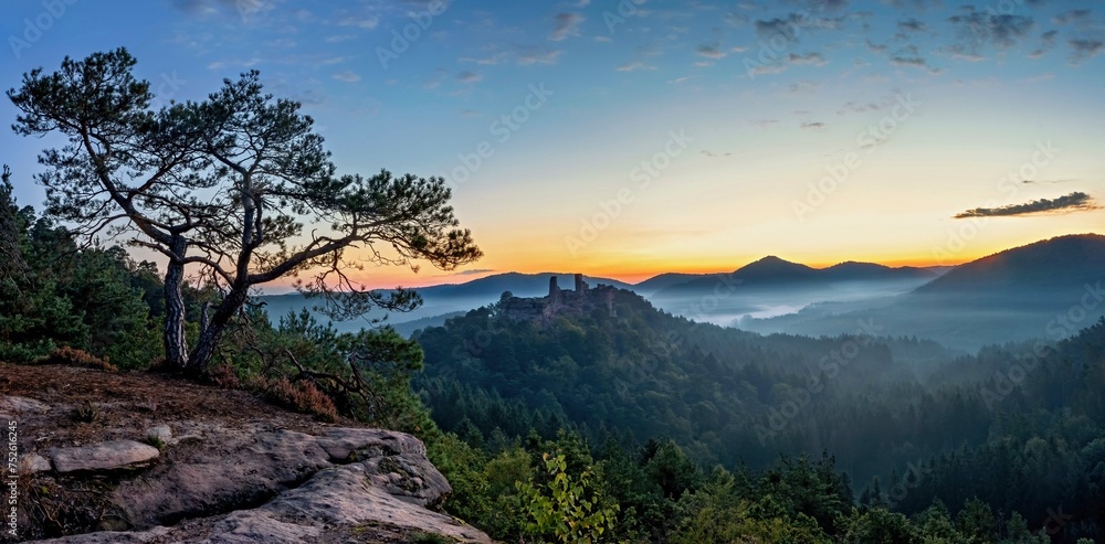 Morning light on the Haferfelsen with a striking pine tree and a view of the ruins of Alt Dahn Castle in the Pflaelzer Forest, which lies in the ground fog Morning light on the Haferfelsen with a striking pine tree and a view of the ruins of Alt Dahn Castle in the Pflaelzer Forest, which lies in the ground fog