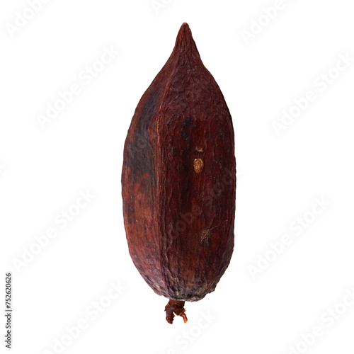 cocoa pod isolated on white