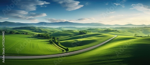 A high angle view of a road winding through lush green fields  creating a picturesque scene. The vibrant greenery contrasts with the asphalt road  leading to a tranquil and serene atmosphere.