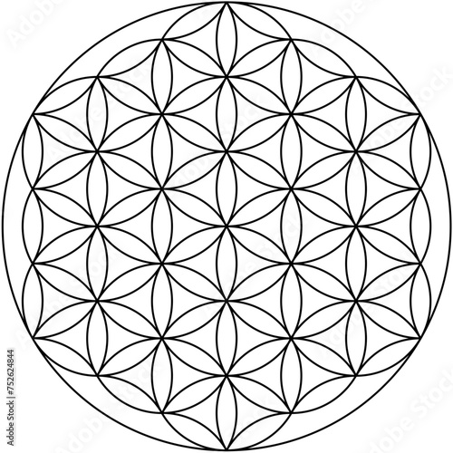 Canvas Print Flower of Life Illustration, Mandala Pattern, Sacred Geometry Clipart