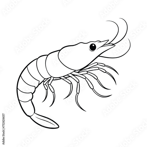 Shrimp illustration coloring page for kids