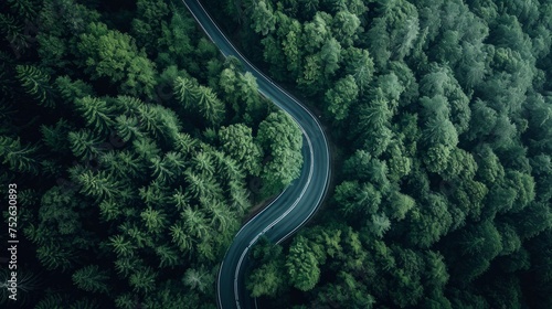 mountain road in a dark green forest generative ai © Francheska