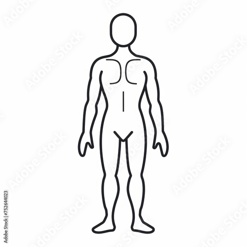 Line drawing of human body illustration for medical theme promotion