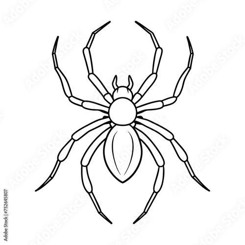 Spider illustration coloring page for kids
