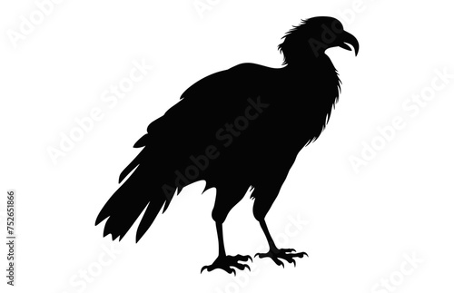 Big Griffon Vulture silhouette isolated on a white background  A Flying Griffon Vulture Beak black vector