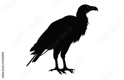 Big Griffon Vulture silhouette isolated on a white background  A Flying Griffon Vulture Beak black vector
