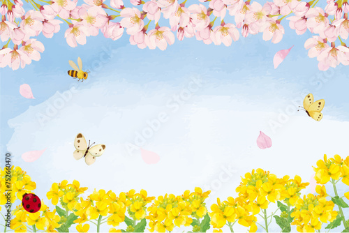 水彩で描いた菜の花と桜の背景