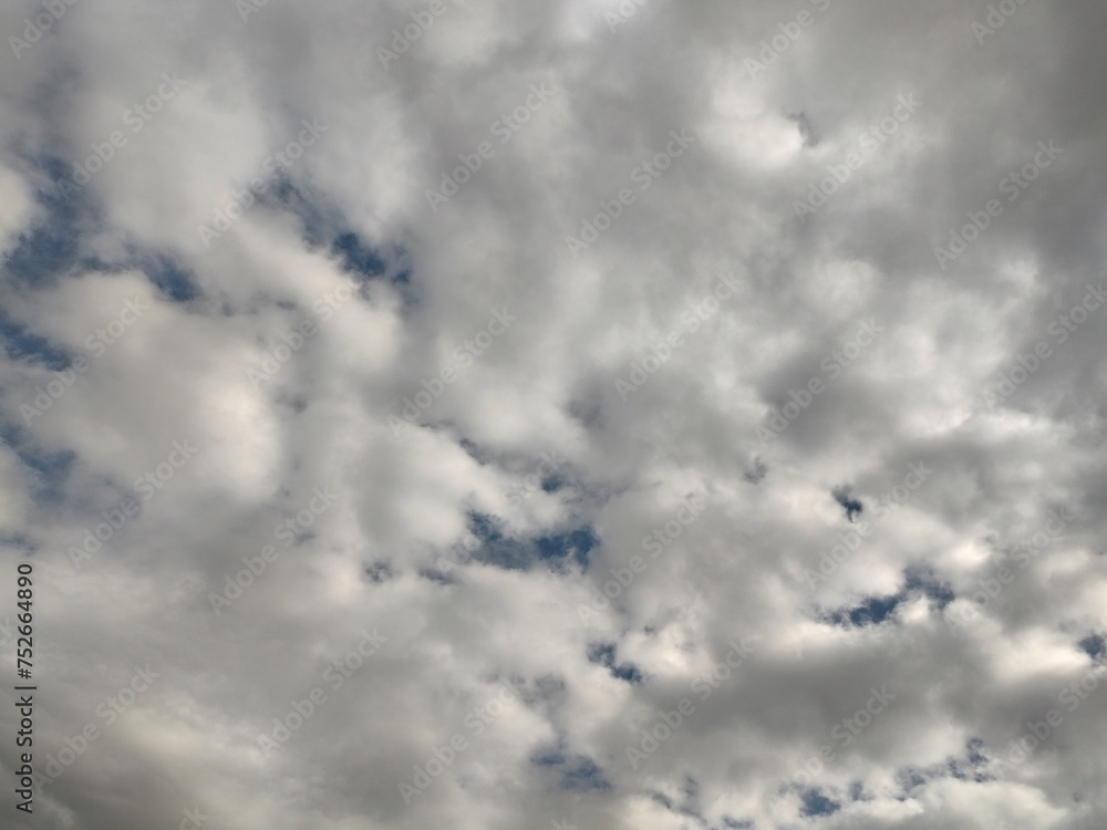 Obraz premium 東京のそら(24.3.7)