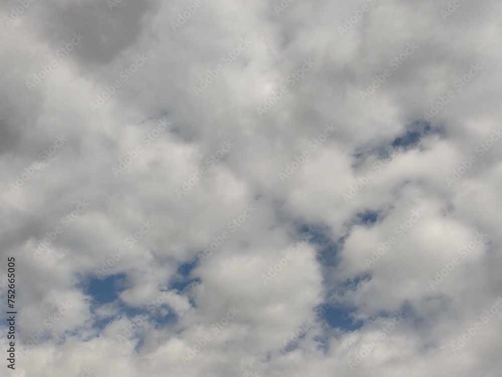 Obraz premium 東京のそら(24.3.7)