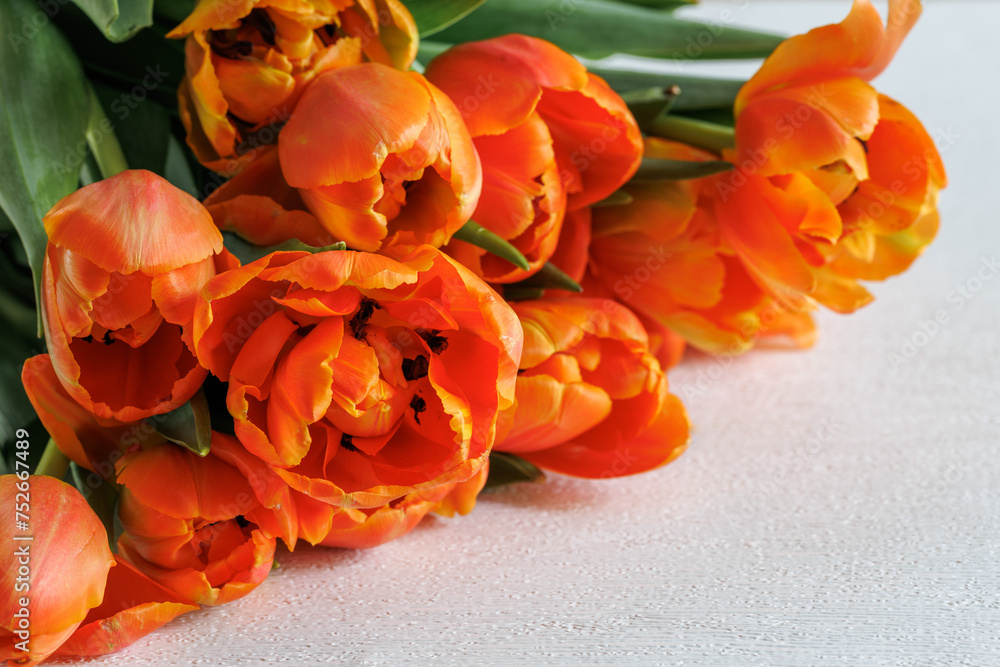Red Orange Yellow Tulips flower bouquet on white table macro close up. Peach fuzz apricot color, copy space, diagonal Red Orange Yellow Tulips flower bouquet on white table macro close up. Peach fuzz apricot color, copy space, diagonal