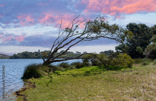 Obraz na płótnie Moore River estuary Perth WA. w salonie