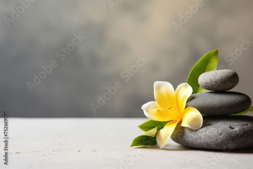 Zen Spa Stones  A Serene Balance of Relaxation and Wellness