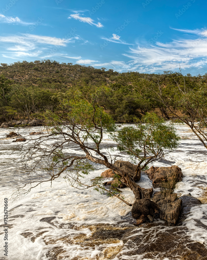 Moore River is a river in the Wheatbelt region of Western Australia