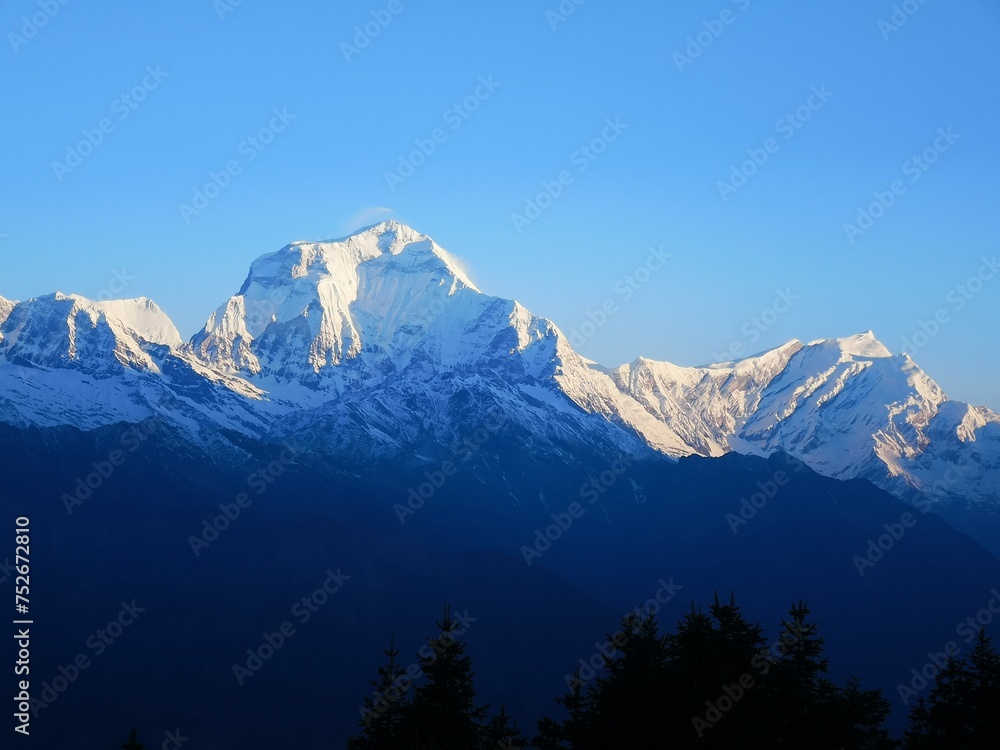 A beautiful snow-covered mountain towering above a serene forest of trees in the foreground. Breathtaking and serene.