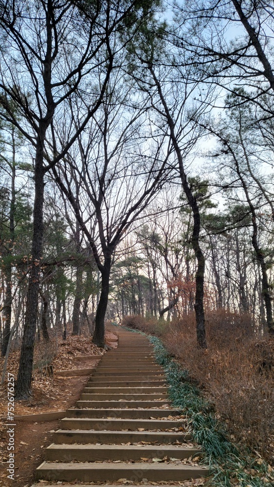 Early in the winter, early in the morning, the forest road Early in the winter, early in the morning, the forest road