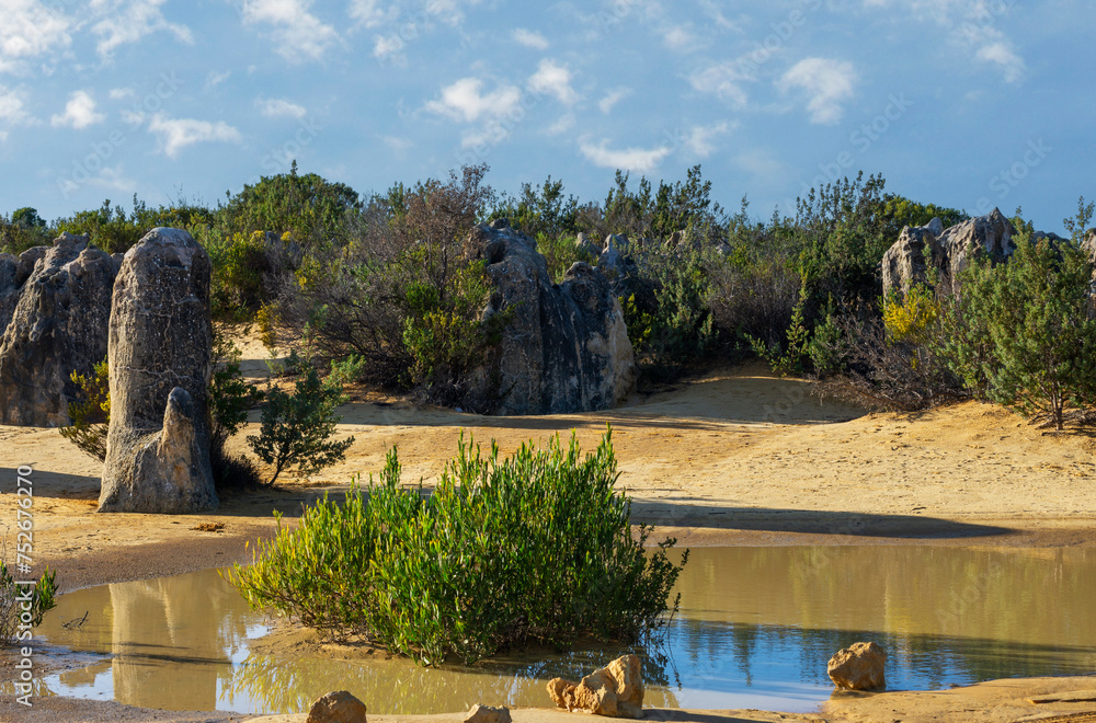 Pinnacles desert of Nambung National Park Western Australia Australia