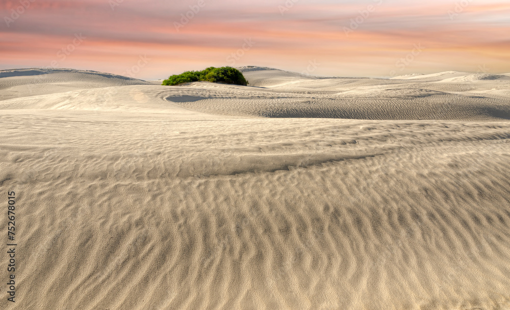 The Lancelin Sand Dunes in Western Australia.