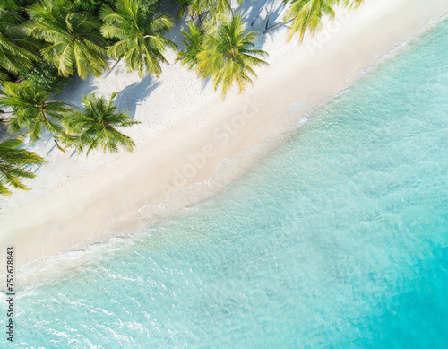 Aerial view of beautiful tropical beach and sea with coconut palm tree © Robert Kiyosaki