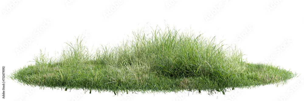 Green grass on transparent background 3d rendering png Green grass on transparent background 3d rendering png