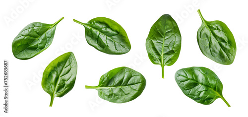 spinach leaves isolate on white background. Healthy food. Top view.