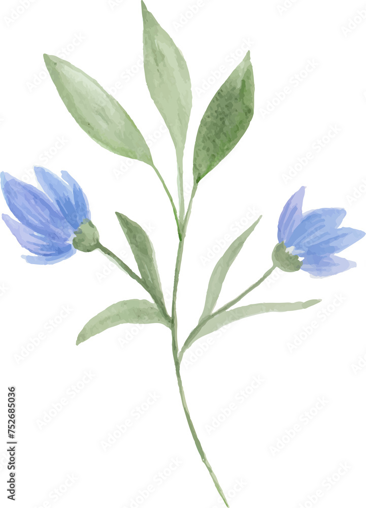 Watercolor blue flowers Watercolor blue flowers