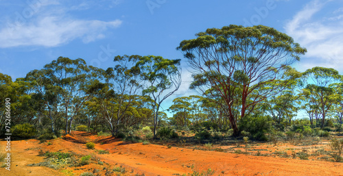 Obraz na płótnie Kalgoorlie red desert in the Goldfields region of Western Australia w salonie