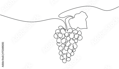 Continuous line drawing grape fruit. Healthy food natural organic concept. Vector illustration editable stroke.