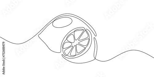 Continuous line drawing citrus fruit. Healthy food natural organic concept. Slice of lemonade Vector illustration editable stroke.