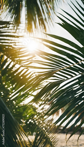 Sunlight peeking through tropical palm leaves.