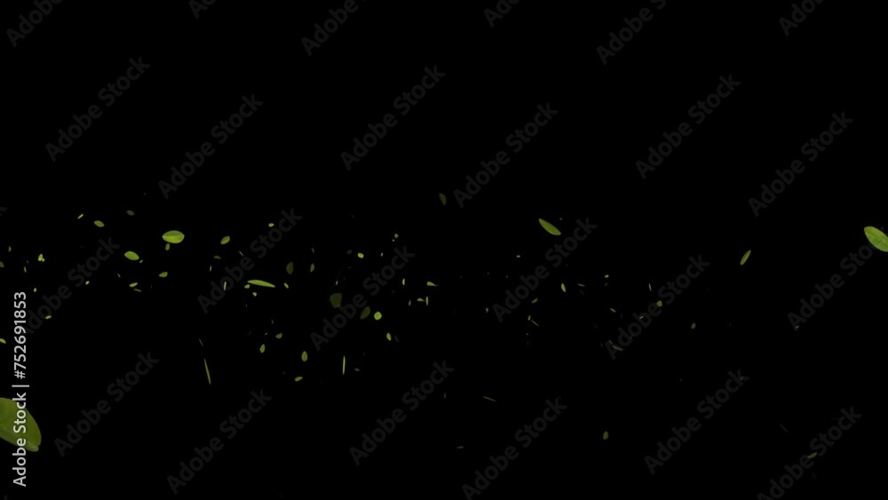 Flying Green leaves over black background. Element Overlay, green screen, alpha effect -4k Seamless Loop
