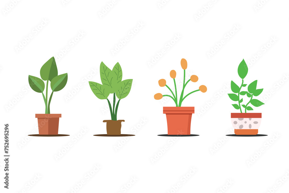 Hand drawn potted plants set vector illustration