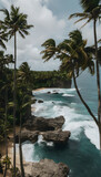 Tropical coastline with palm trees overlooking rocky cliffs and turquoise sea waves.