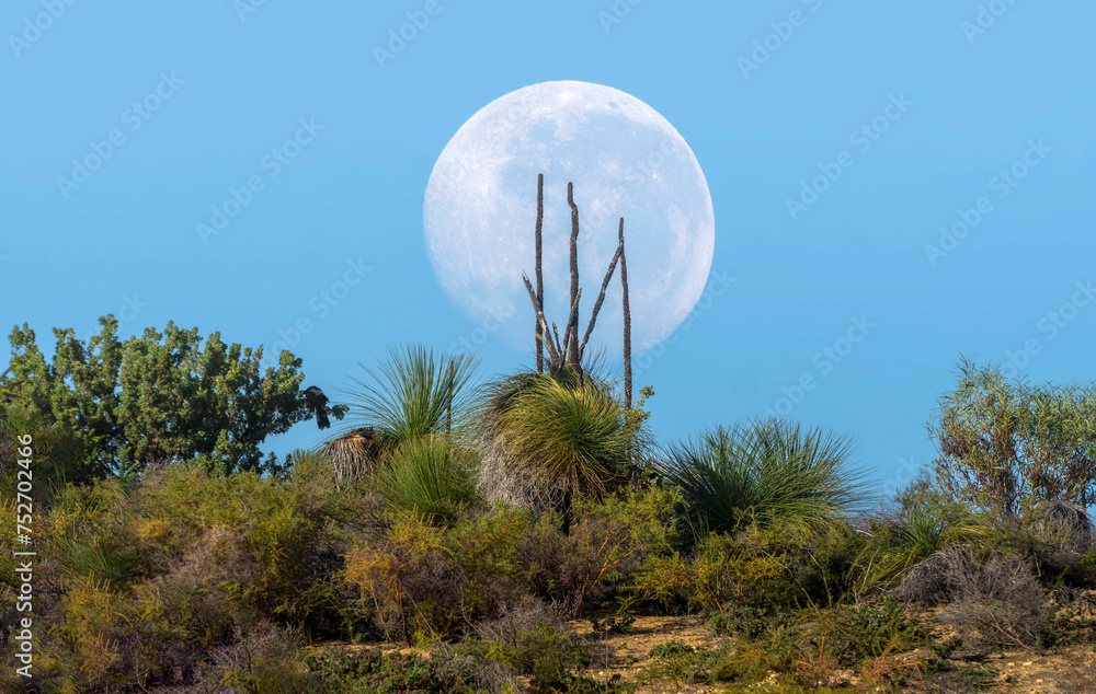 Western Australians unique Landscape