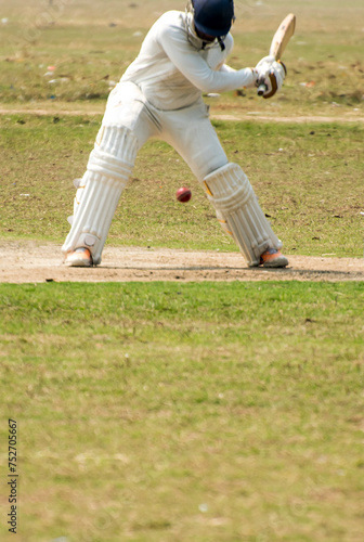Cricket Batsman is going to hit a ball