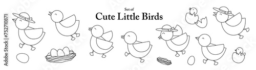 Set of cute little birds in hand drawn style. Adorable chicks family in black outline and white plain on transparent background for coloring book or textile pattern design for baby.