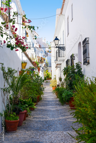 Plant filled narrow streets in the white hillside village of Frigiliana Spain